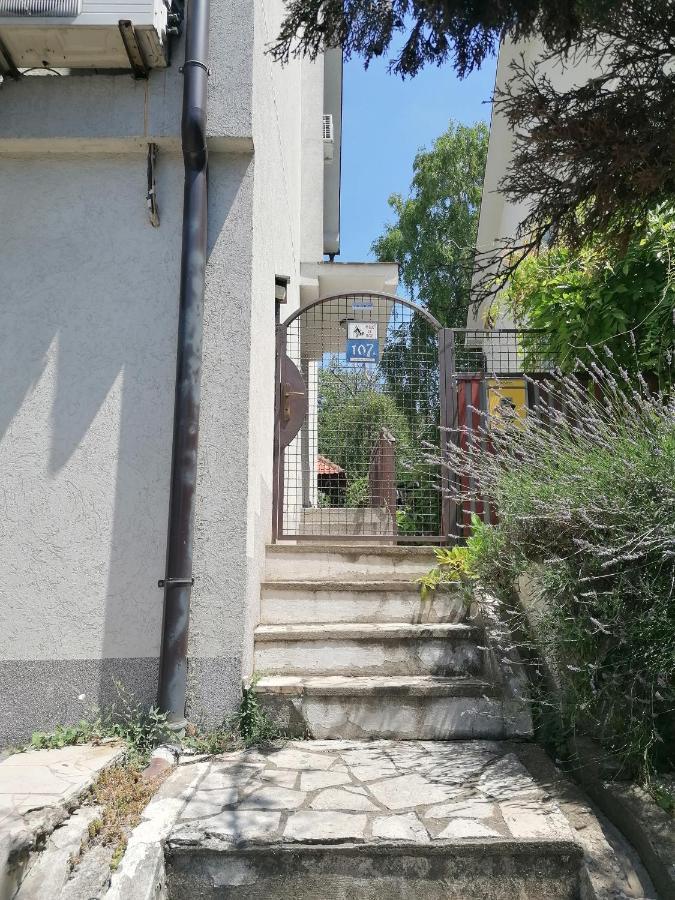 Apartament Talisman Belgrad Zewnętrze zdjęcie